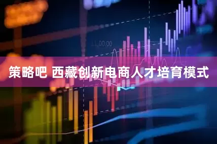 策略吧 西藏创新电商人才培育模式