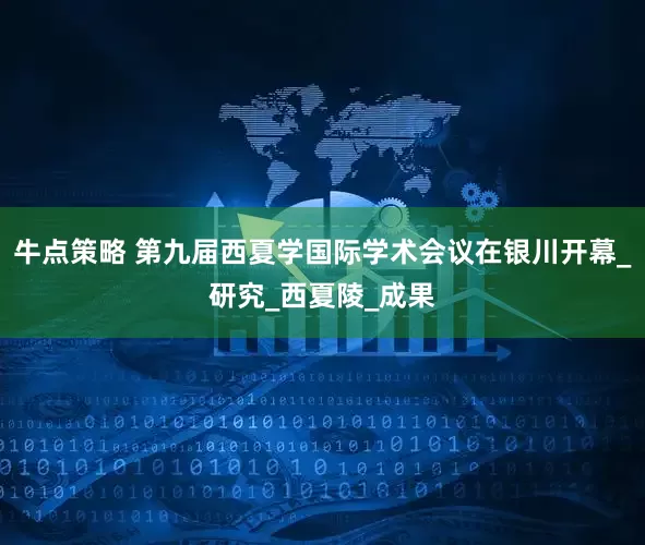 牛点策略 第九届西夏学国际学术会议在银川开幕_研究_西夏陵_成果