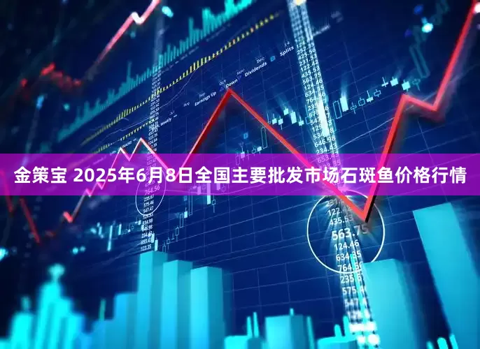金策宝 2025年6月8日全国主要批发市场石斑鱼价格行情